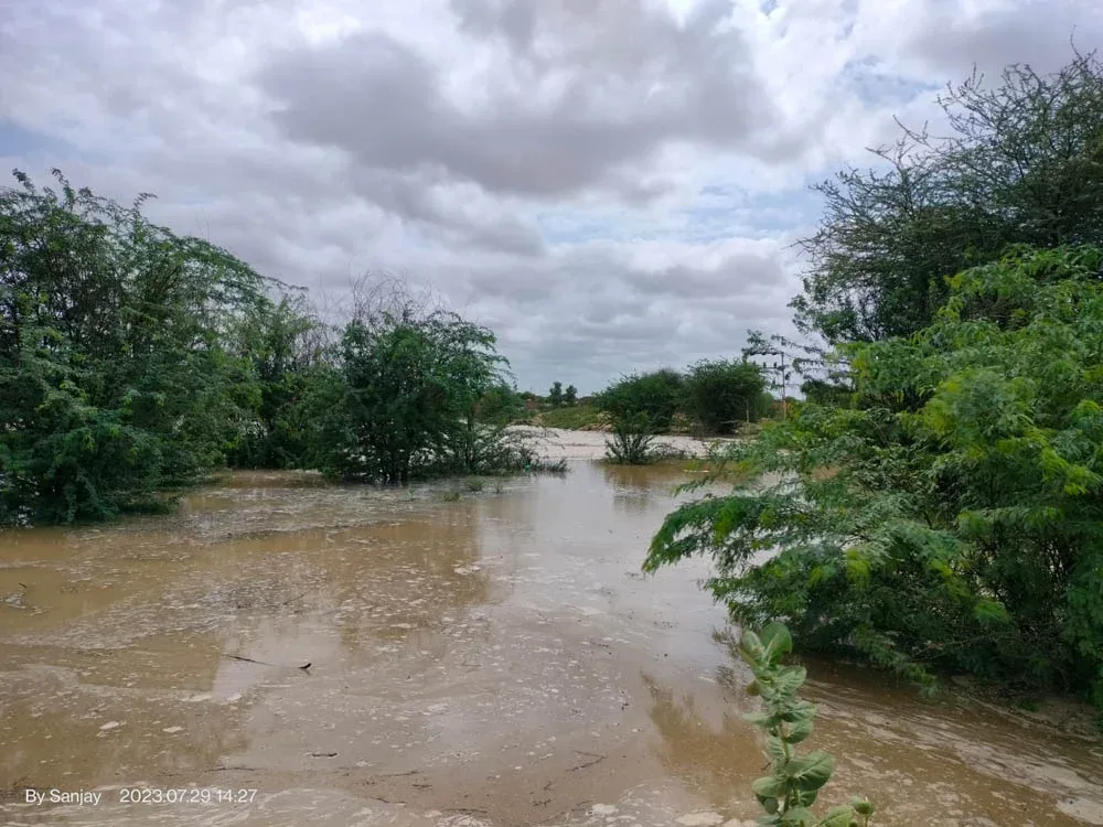 Pressing Need to Mitigate Climate Change : Floods in the Thar
