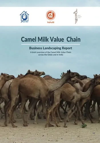 Camel-Milk-Landscaping-Study-1