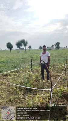 Papuram
