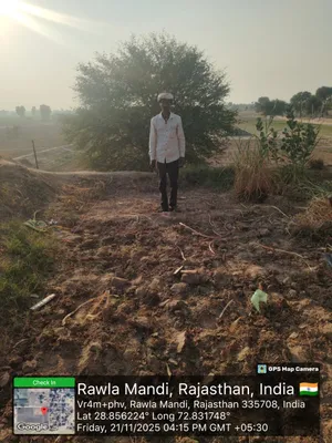 Narpata