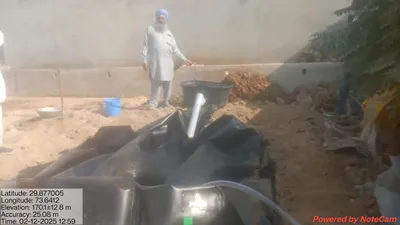 Sultan