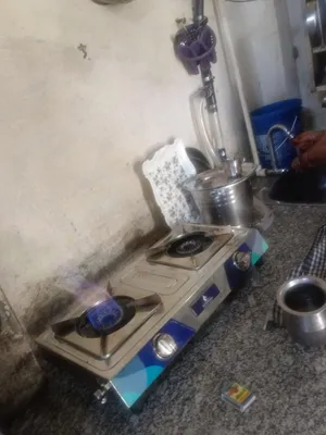 Raghuveer Singh