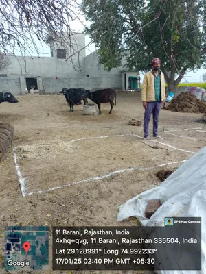 Raju Ram