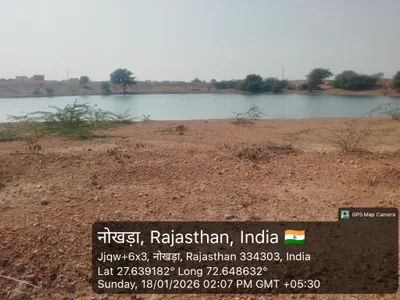 rabholai tlai