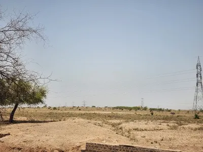mokholai