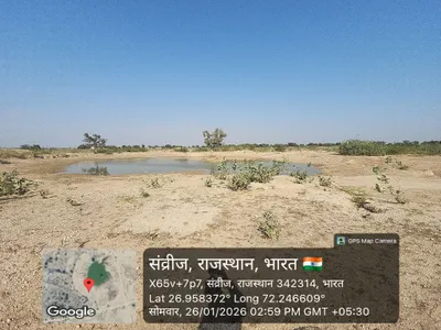 Waterlogged Area
