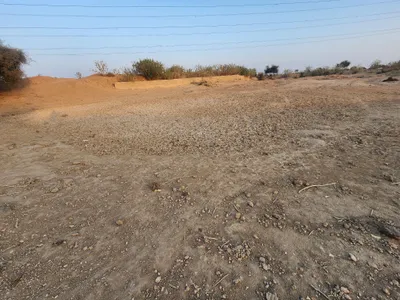 Waterlogged Area