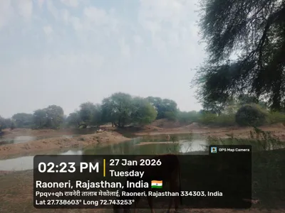 Catchment