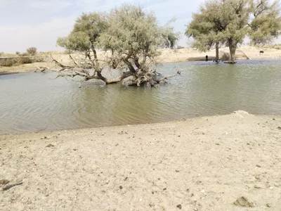 Catchment