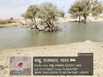 Waterlogged Area