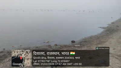 Waterlogged Area