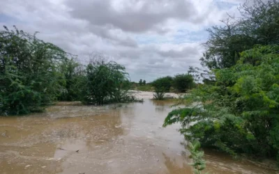 Pressing Need to Mitigate Climate Change : Floods in the Thar
